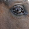 Thumbnail of related posts 087