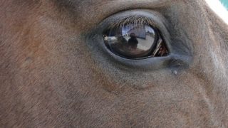 Thumbnail of post image 052