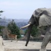 Thumbnail of related posts 029
