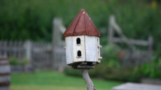 Thumbnail of post image 075