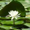Thumbnail of related posts 180