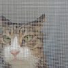Thumbnail of related posts 183