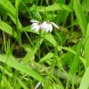 Thumbnail of related posts 078
