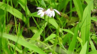 Thumbnail of post image 124