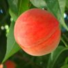 Thumbnail of related posts 077