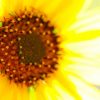 Thumbnail of related posts 114