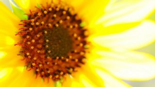 Thumbnail of post image 088