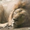 Thumbnail of related posts 174