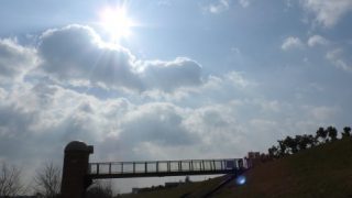 Thumbnail of post image 139