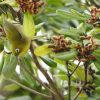 Thumbnail of related posts 143