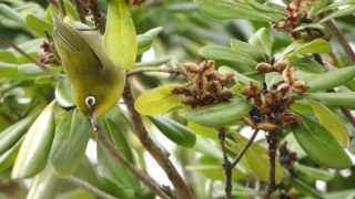 Thumbnail of post image 008