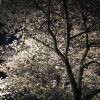 Thumbnail of related posts 082
