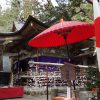 Thumbnail of related posts 107