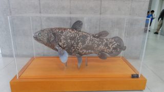 Thumbnail of post image 162