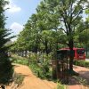 Thumbnail of related posts 039