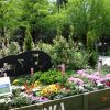 Thumbnail of related posts 059