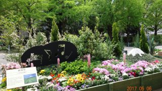 Thumbnail of post image 096