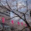 Thumbnail of related posts 079