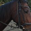Thumbnail of related posts 128