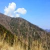 Thumbnail of related posts 113