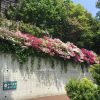 Thumbnail of related posts 043