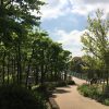 Thumbnail of related posts 113