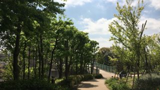 Thumbnail of post image 091