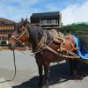 Thumbnail of related posts 001