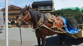 Thumbnail of post image 117