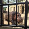 Thumbnail of related posts 142