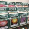 Thumbnail of related posts 119
