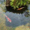 Thumbnail of related posts 134