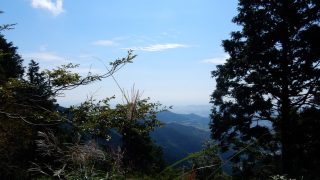 Thumbnail of post image 113