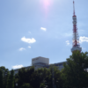 Thumbnail of new posts 106