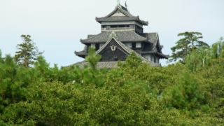 Thumbnail of post image 167